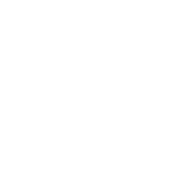 National Math Camps